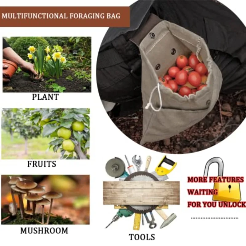 Faltbare Sammeltasche aus Lede – Water Bag Collapsible Bewertung und Preis